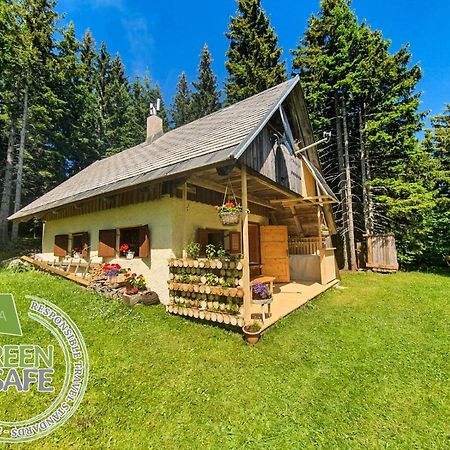 Mountain Eco Chalet Konjska Dolina On 1400 M Asl -Near Pokljuka Srednja Vas v Bohinju Ngoại thất bức ảnh