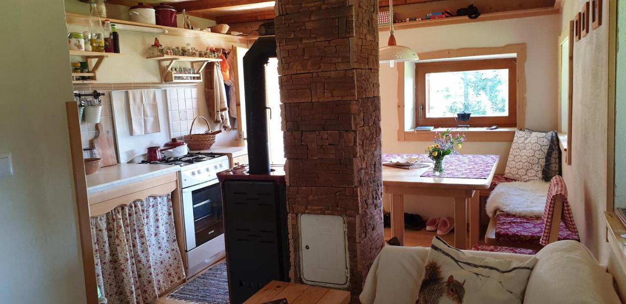 Mountain Eco Chalet Konjska Dolina On 1400 M Asl -Near Pokljuka Srednja Vas v Bohinju Ngoại thất bức ảnh