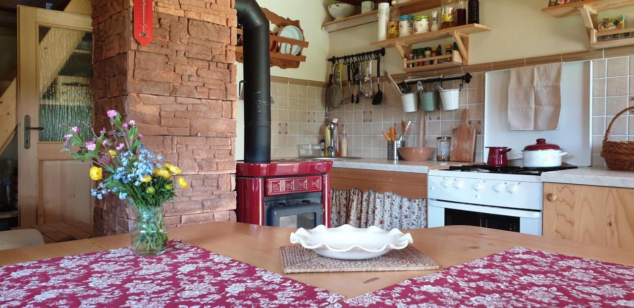 Mountain Eco Chalet Konjska Dolina On 1400 M Asl -Near Pokljuka Srednja Vas v Bohinju Ngoại thất bức ảnh