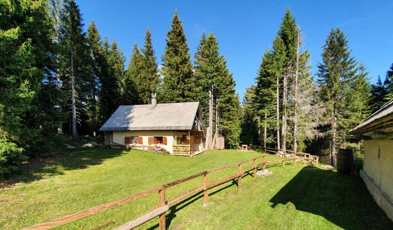 Mountain Eco Chalet Konjska Dolina On 1400 M Asl -Near Pokljuka Srednja Vas v Bohinju Ngoại thất bức ảnh
