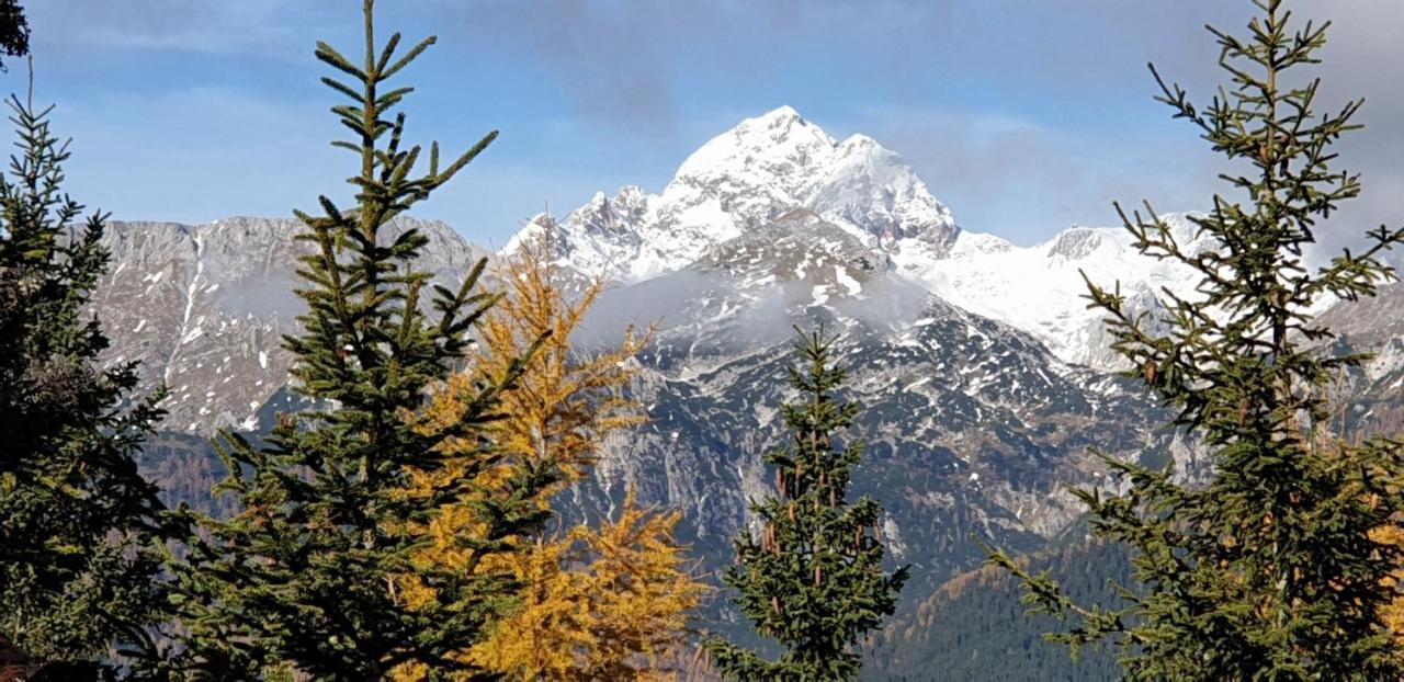 Mountain Eco Chalet Konjska Dolina On 1400 M Asl -Near Pokljuka Srednja Vas v Bohinju Ngoại thất bức ảnh