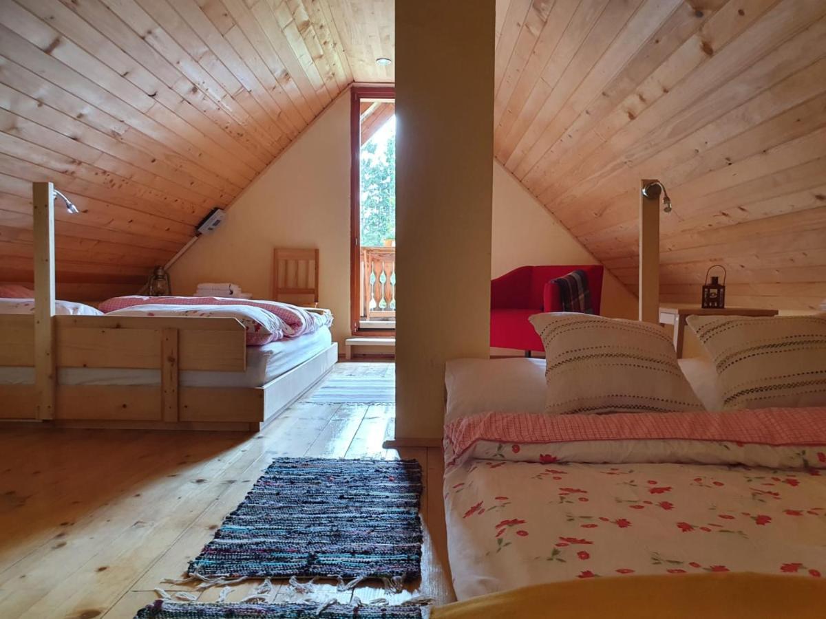 Mountain Eco Chalet Konjska Dolina On 1400 M Asl -Near Pokljuka Srednja Vas v Bohinju Ngoại thất bức ảnh