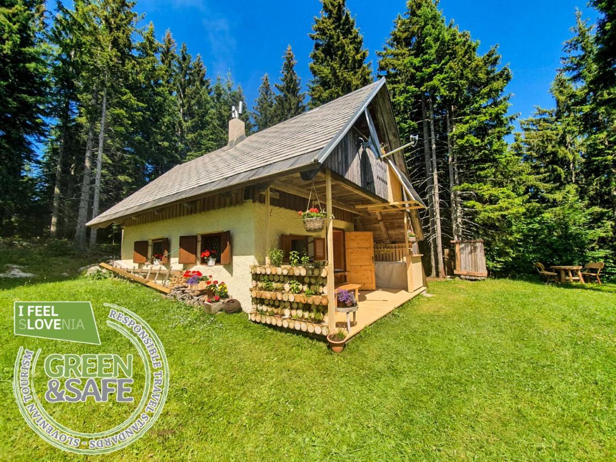 Mountain Eco Chalet Konjska Dolina On 1400 M Asl -Near Pokljuka Srednja Vas v Bohinju Ngoại thất bức ảnh